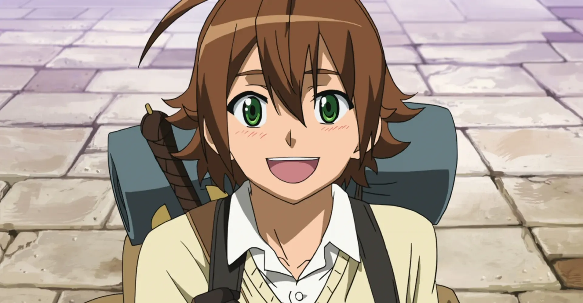 tatsumi-akame-ga-kill-cd3bf51a-b52e-44c5-833e-b8e42e2cfc9e.webp
