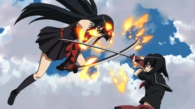 akame-ga-kill-fight-scene-akame-kurome-d165856a-26e4-42fb-8830-5c3ff94607c4.webp